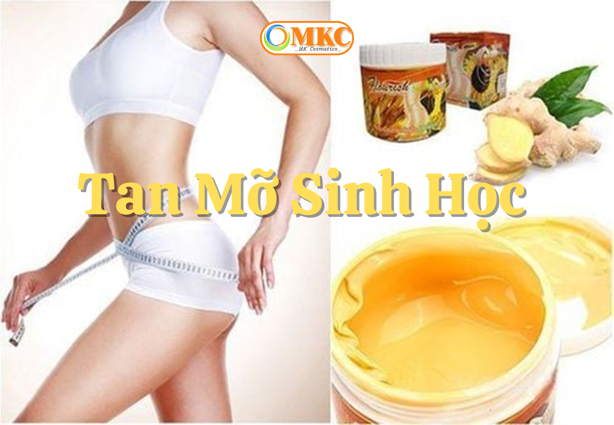 Tan Mỡ Sinh Học